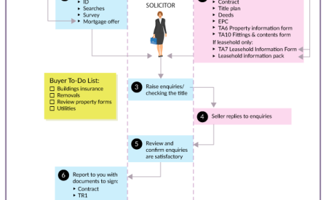 What does the Solicitor do for the Buyer?